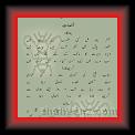 Khalid Arfan 01 * 22.03.2008 * 487 x 741 * (36KB)